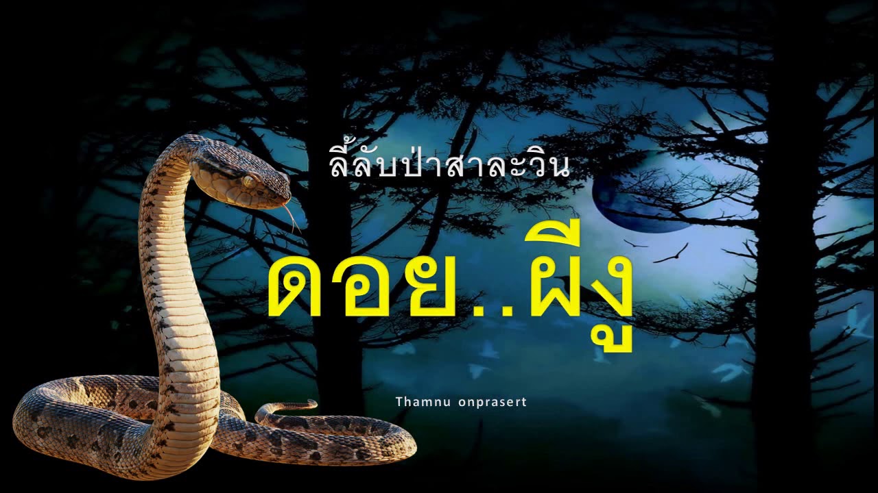 ๔๗.ดอยผีงู ลี้ลับป่าสาละวิน