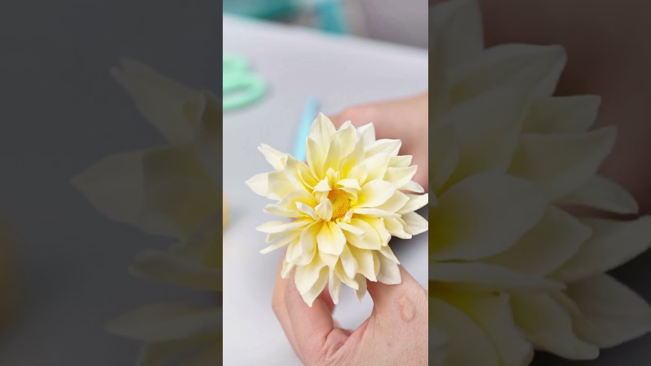 How to make a dahlia | Gum Paste Dahlia Tutorial#tutorial #fondant #sugarflowers #dahlias