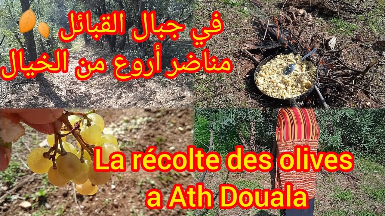 في جبال تيزي وزو 🍂 القبائل 🍂 مناظر أروع من الخيال au montagne de Tizi ouzou
