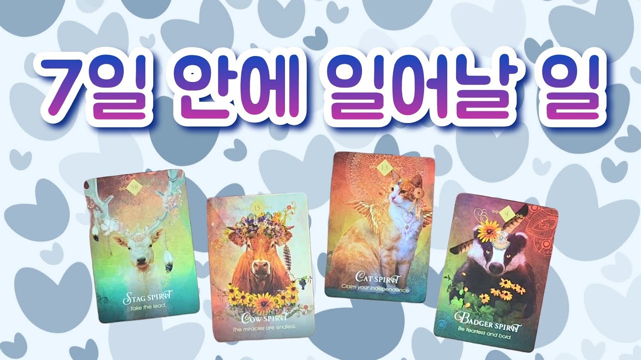 ❝타로❞ 🌟7일 안에 일어날 일❣️≈보시는 시점 기준≈