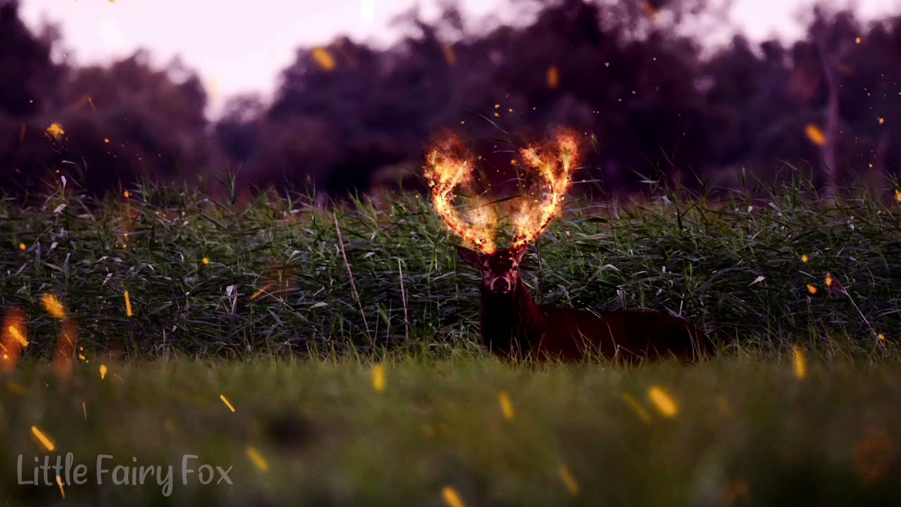 ATLA | The Last Airbender | Fire Nation Ambience & Music | ASMR 🔥