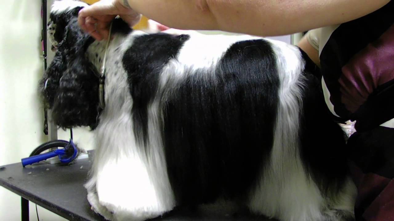 Carding basics