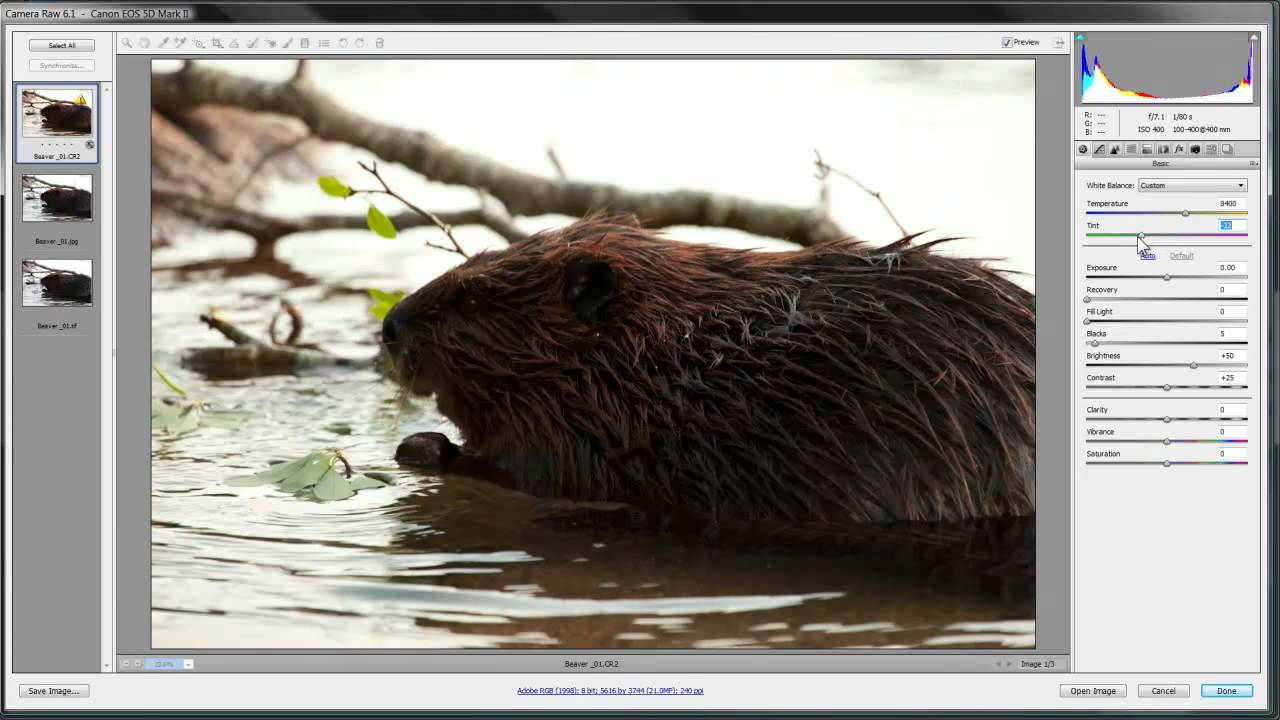 How to Open and Edit Images in Adobe Camera Raw CS5