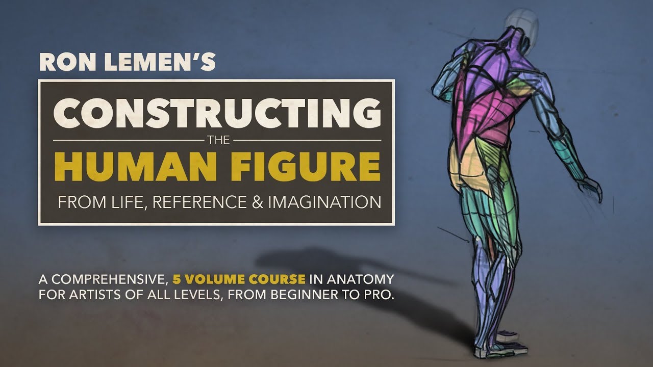 Constructing the Human Figure : Sample Chapter