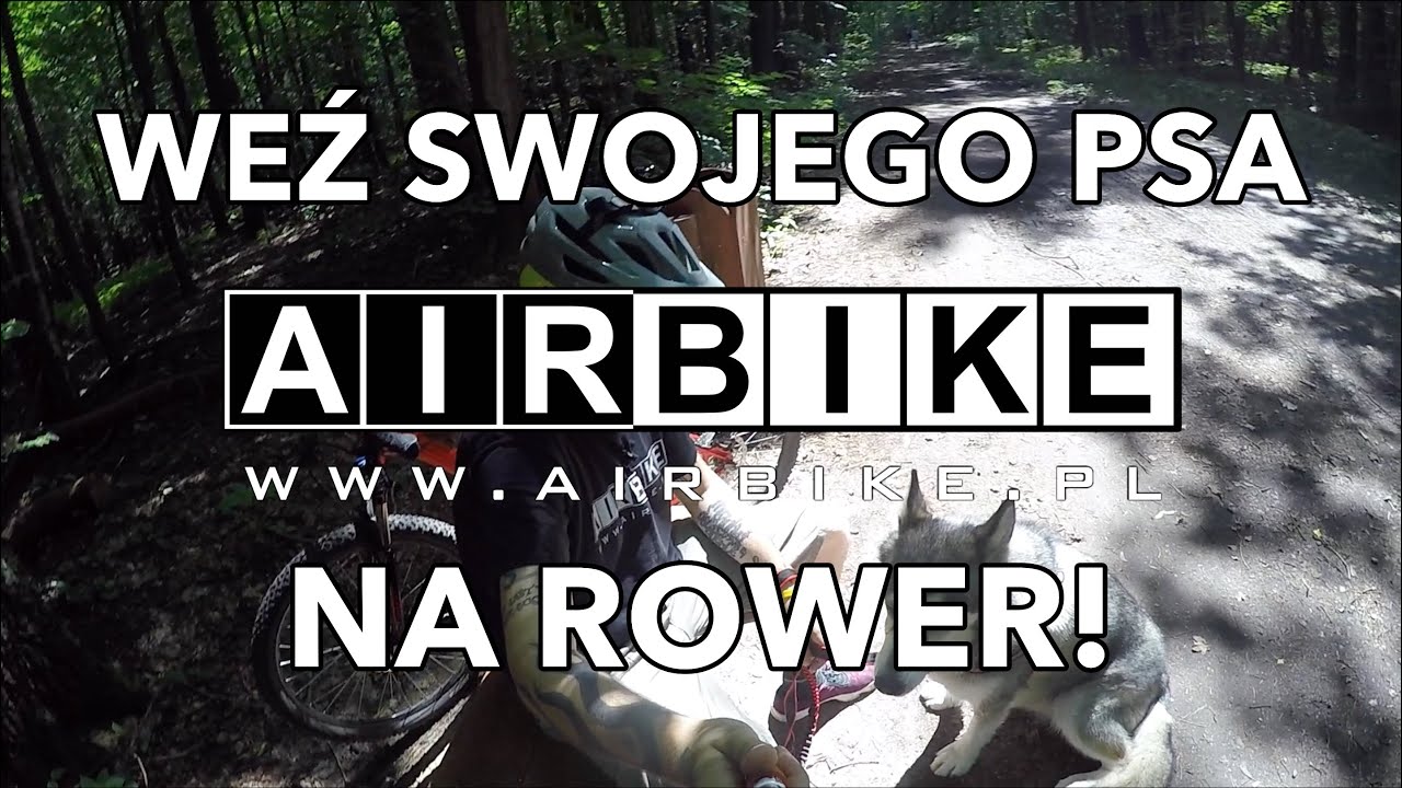 Jak bezpiecznie jeździć na rowerze z psem?