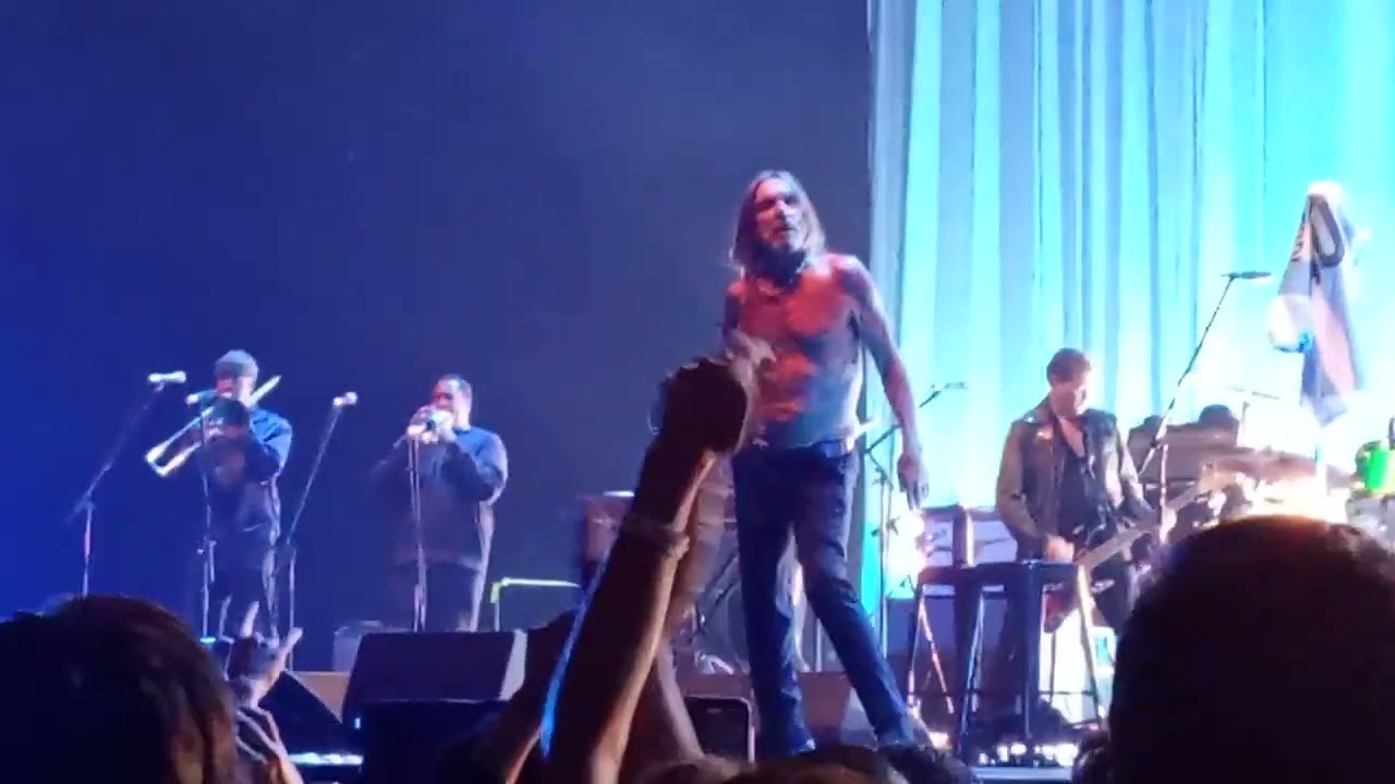 Iggy Pop - Louie Louie (12.09.2025 Live Argentina Movistar Arena)