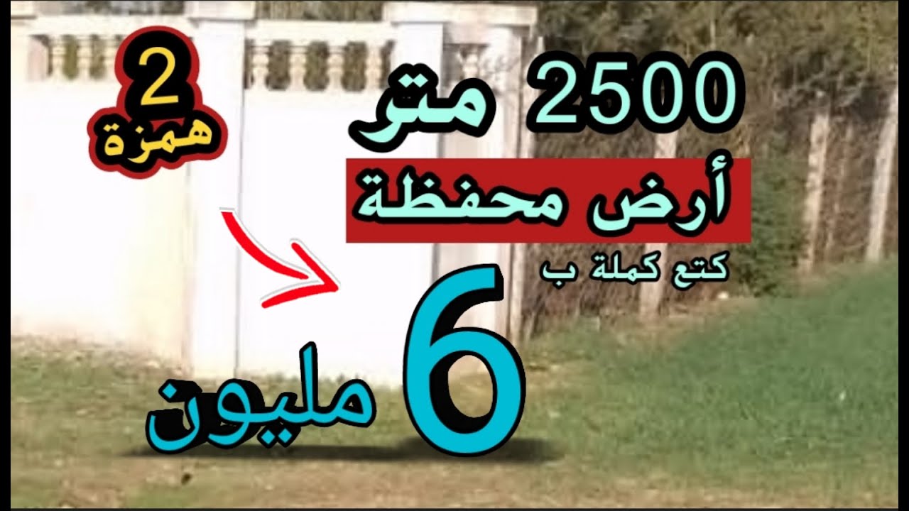 أرضي للبيع رخيصة محفظة || 2500 متر محفظة 6 مليون + أرض ثانية ثمن أكثر من همزة