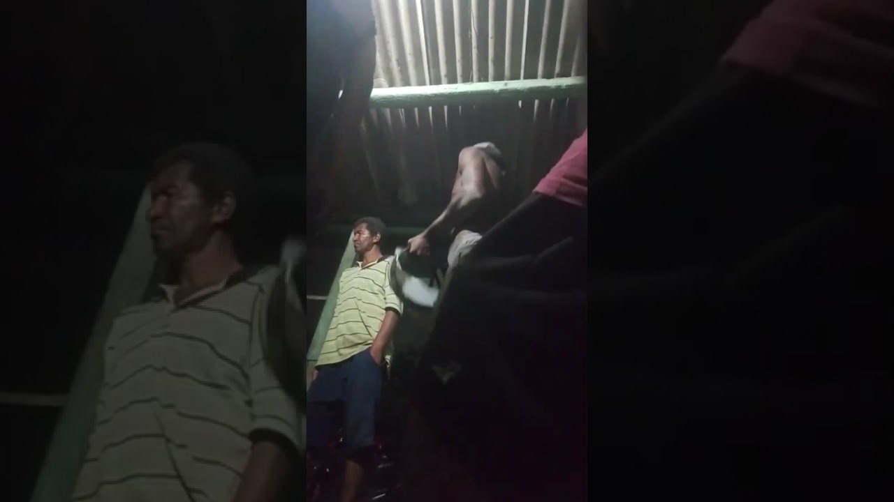24 de fevereiro de 2026