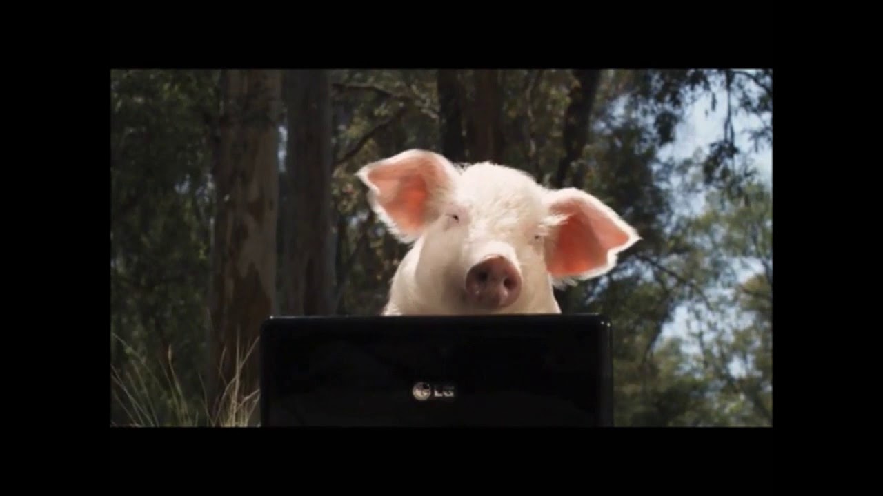 ANIMALES / Publicidades Movistar (2009)
