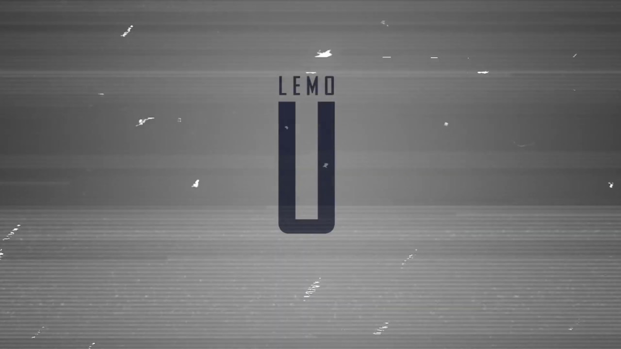 The LEMO Foundation