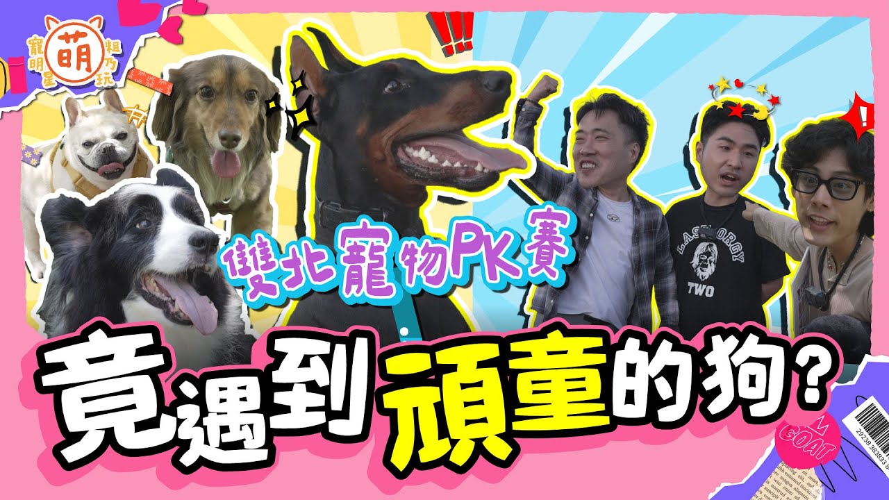 廢弟弟寵物PK賽！竟巧遇狗明星？余祥銓 鹿希派 各務孝太 明星之間的對決 三廢弟不能輸！！【 廢弟弟出任務 】萌寵明星粗乃玩 @haveapetday​