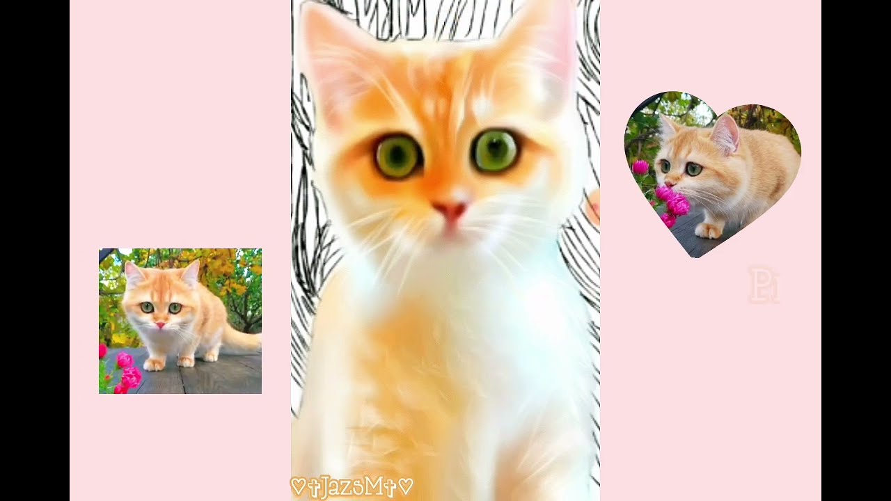Painting a Ginger Cat 😺👩‍🎨 #digitalart #art #speedpaint  