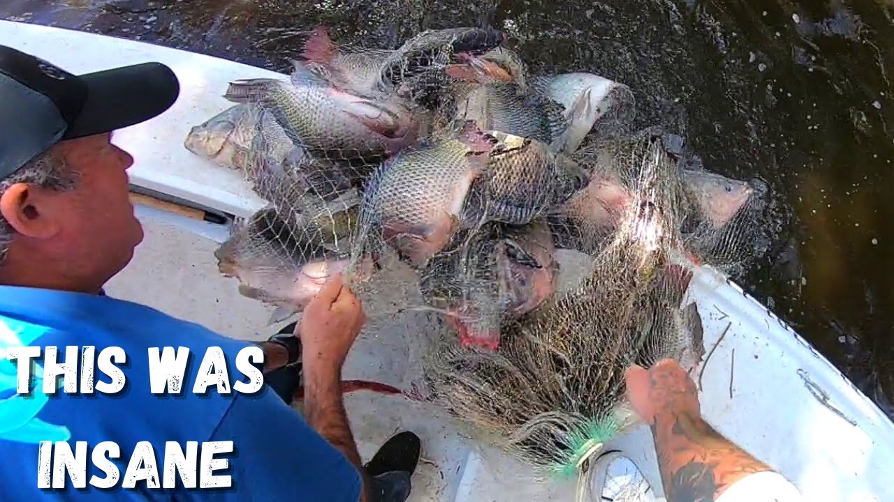 I Caught Over 150 Pounds of FISH In My CAST NET with 1 CAST