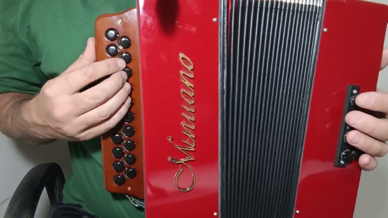 VIDEO AULA MUSICA CADELA BAIA