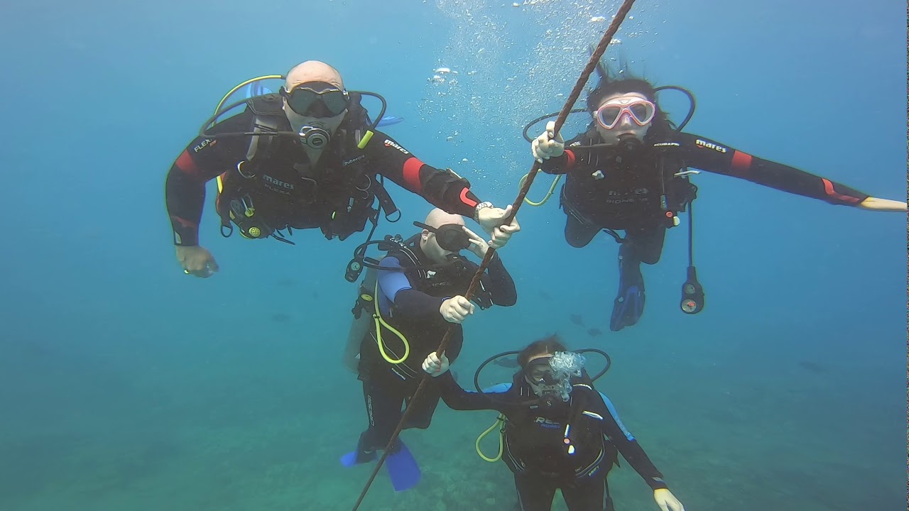 Diving with Reef Pirates Oahu, Hawaii