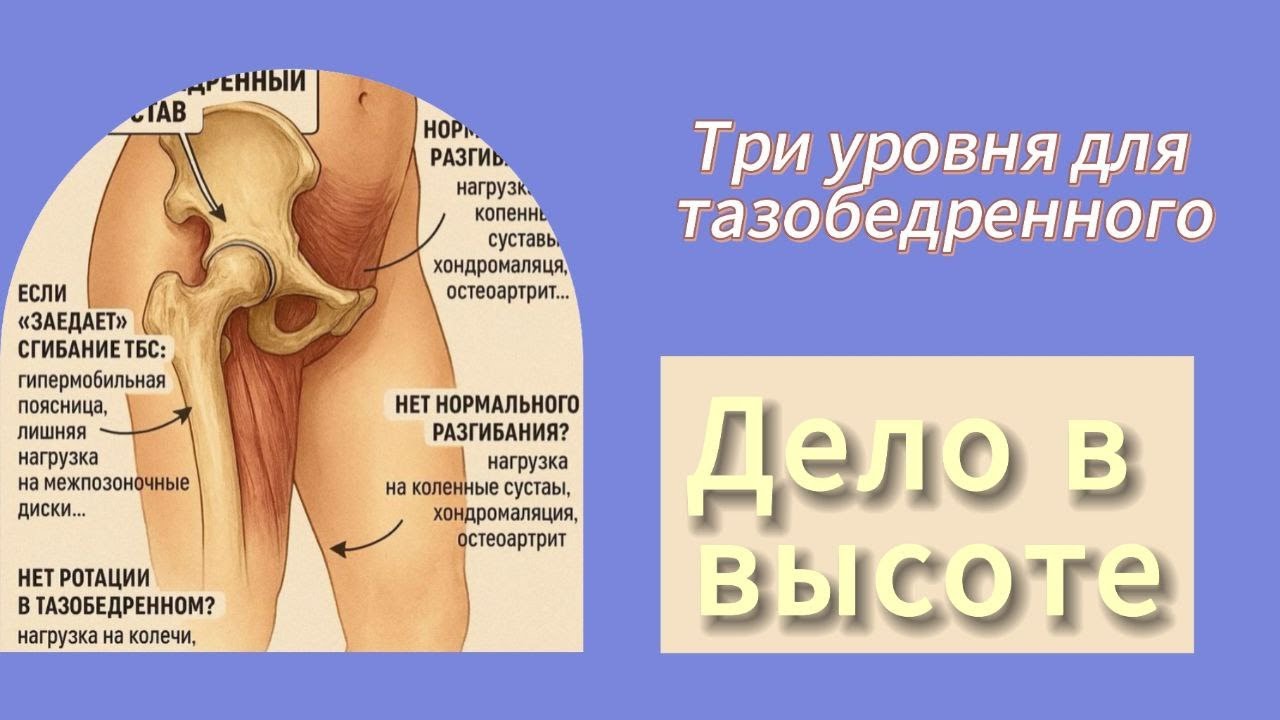 Высота решает все.Три уровня для тазобедренного.