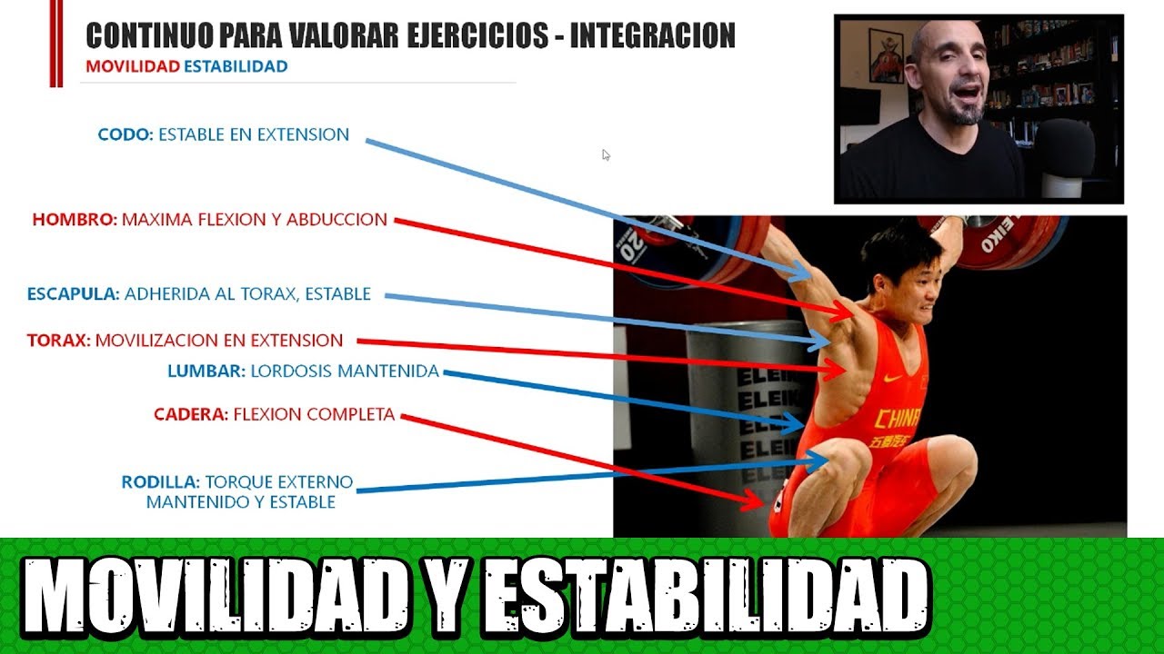 Que es el continuo de movilidad - estabilidad? (en sentadilla).