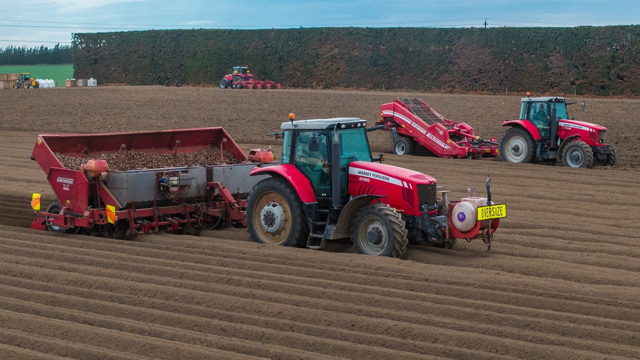 Potato Planting with Massy Ferguson Tractors