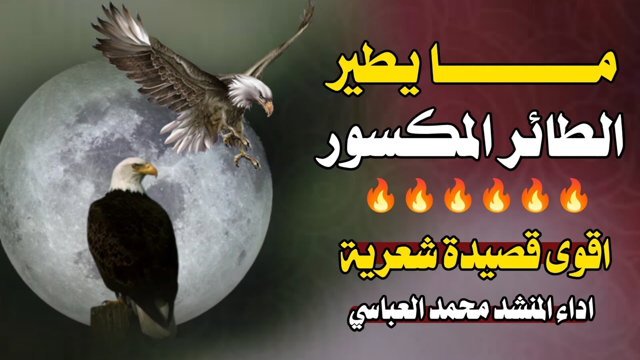 🔥 كسير الجناح🦅 حصريا 2026 💥نااارية جديد 🔥كلمات اصيل عبد السلام العلواني | محمد العباسي 