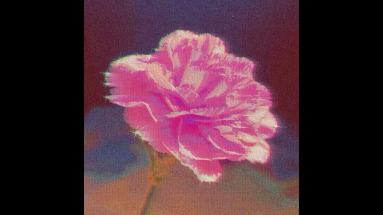 (free) indie-pop + clairo + bedroom pop type beat — morningside