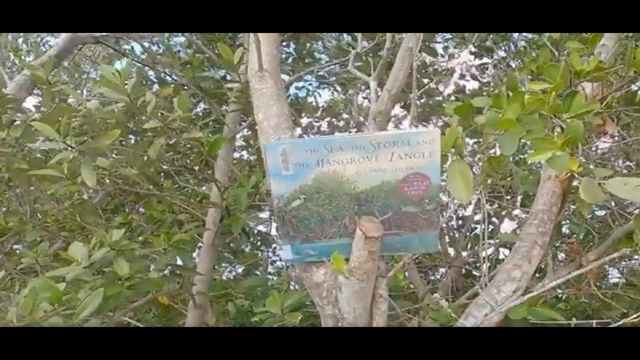 Explorers' Storytime: 