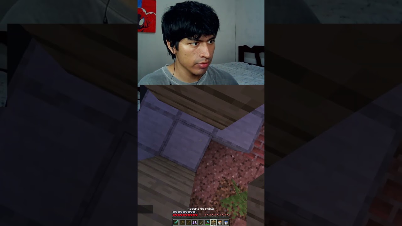 #minecraft #юмор #reels #короткометражноевидео #вирусноевидео #игры #reels #fyp