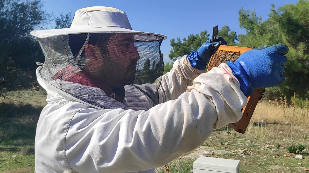 έλεγχος κ σφίξιμο. Δεκεμβρίου.