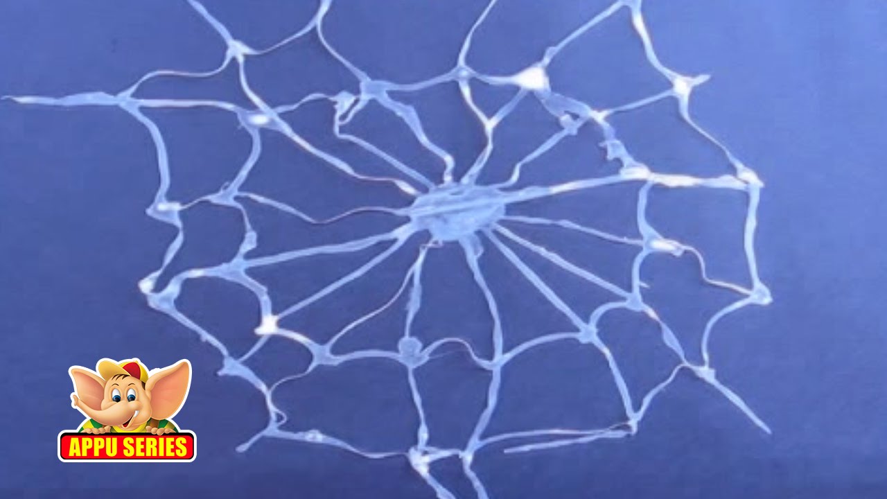 Learn to make a Spider Web - Arts & Crafts