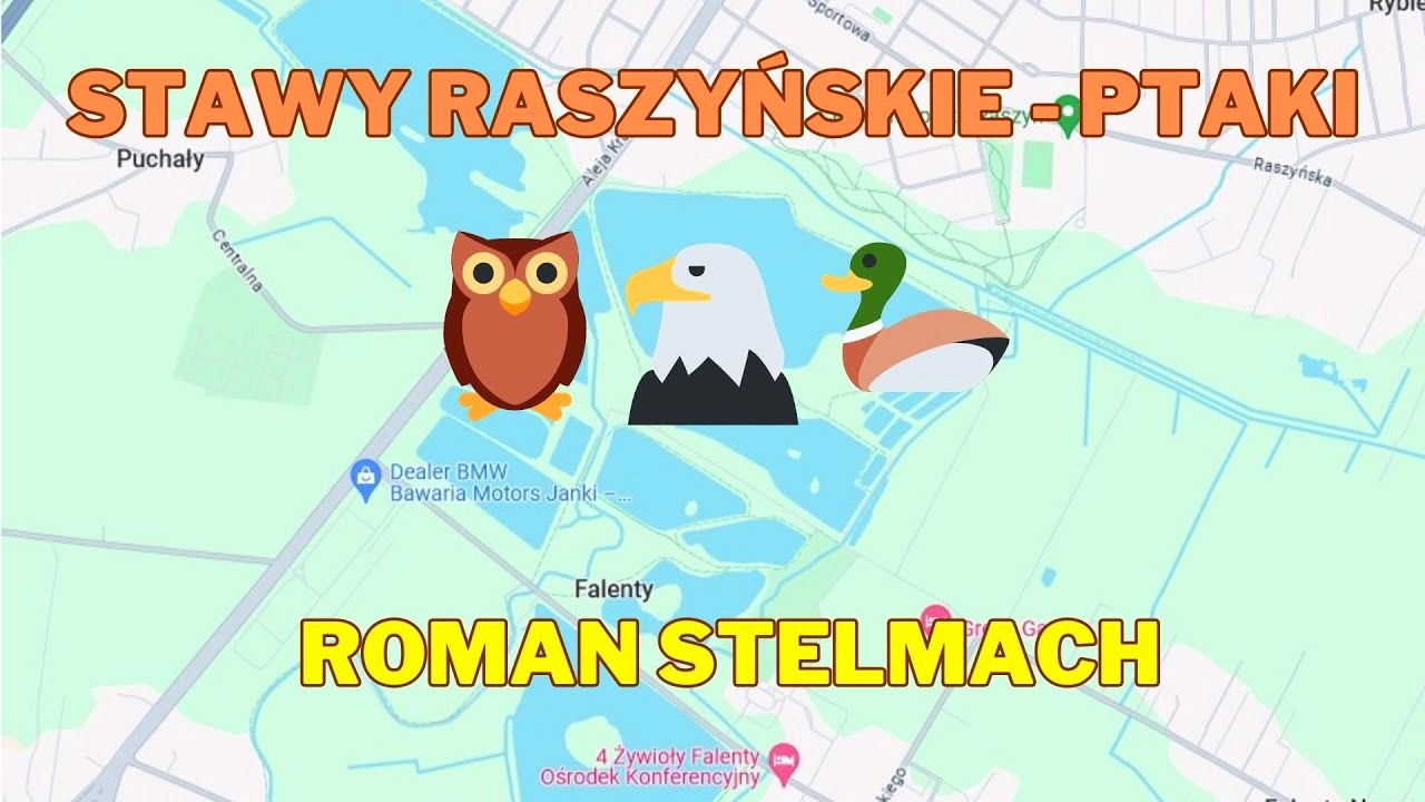 Rezerwat Stawy Raszyńskie - ptaki cz. 1