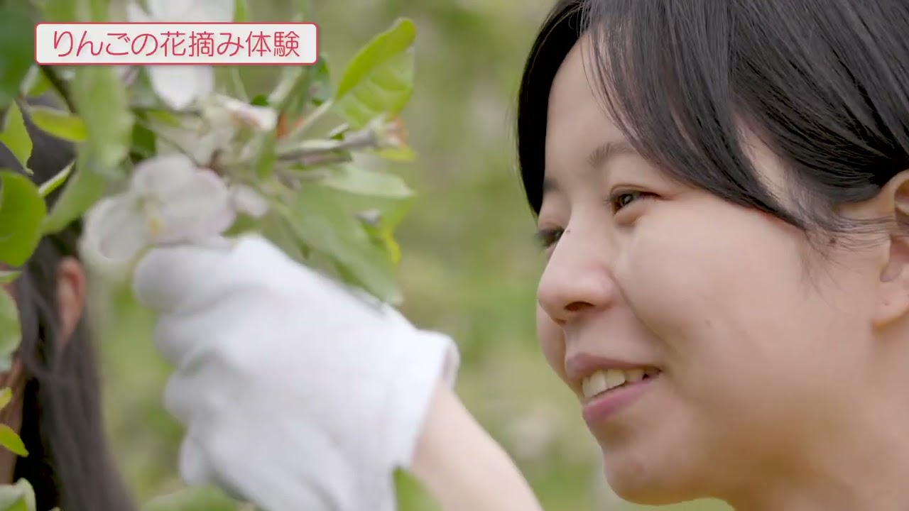 【山形県朝日町】朝日町 PR動画 春 日本語字幕
