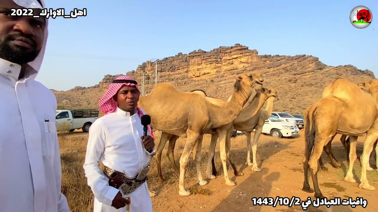 مواصفات الاوارك /خالد العبدلي