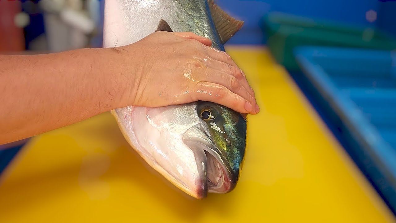 Выращено на японской рыбной ферме. Желтохвост, разделка рыбы