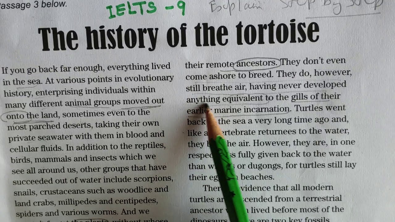 ielts reading tips THE HISTORY OF TORTOISE | IELTS-9| Academic Reading PSG-3