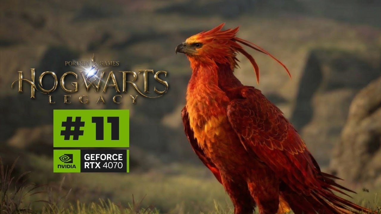 Hogwarts Legacy #11 #RPG #Warner #OALLANGAMER