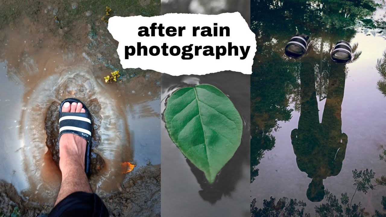 After Rain Photography Ideas | Monsoon Mobile Photography | Rain photography Ideas | by vk clicks