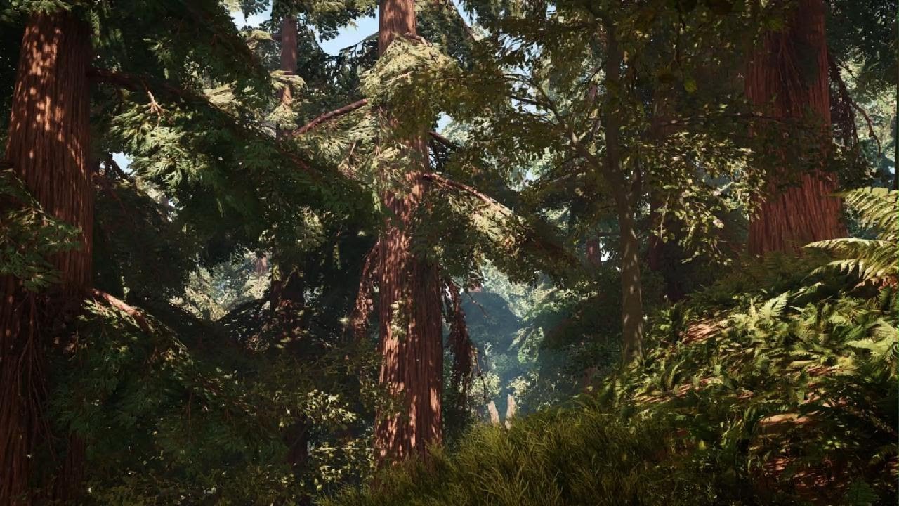 Far Cry Primal Deep Forest Ambience for Study and Relaxation