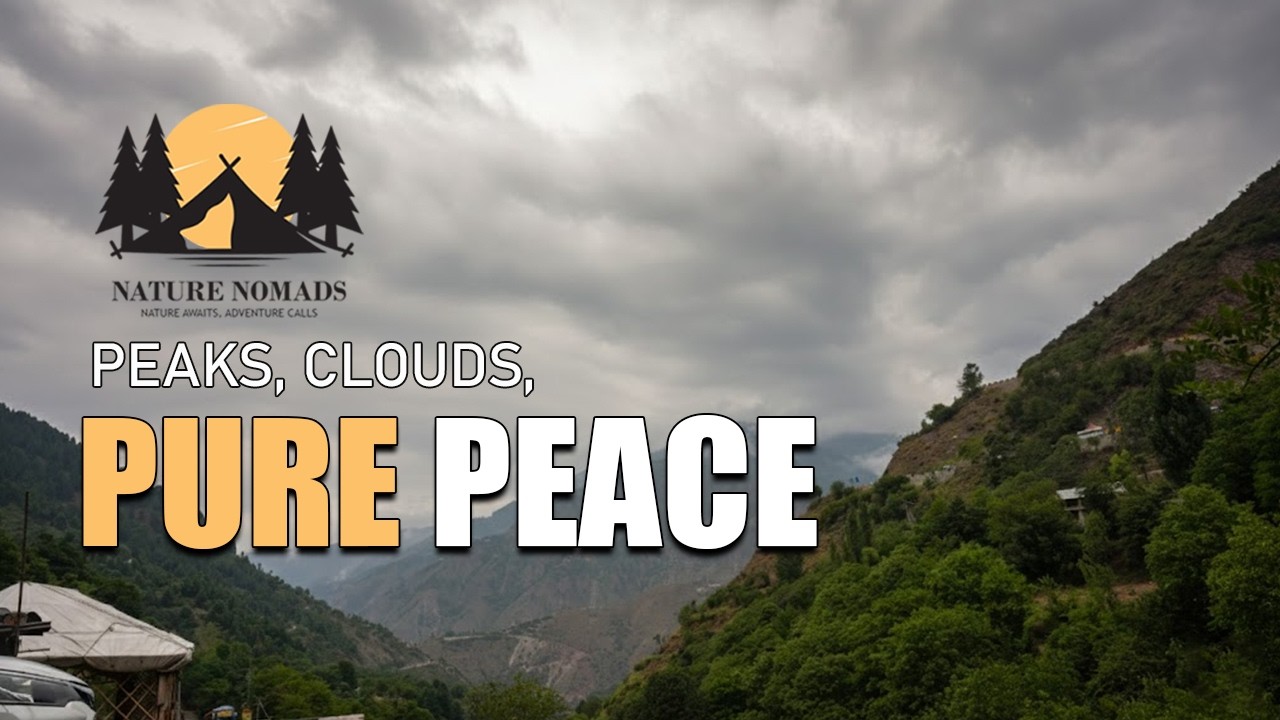 Pure Peace: A Tranquil Journey Through Nature