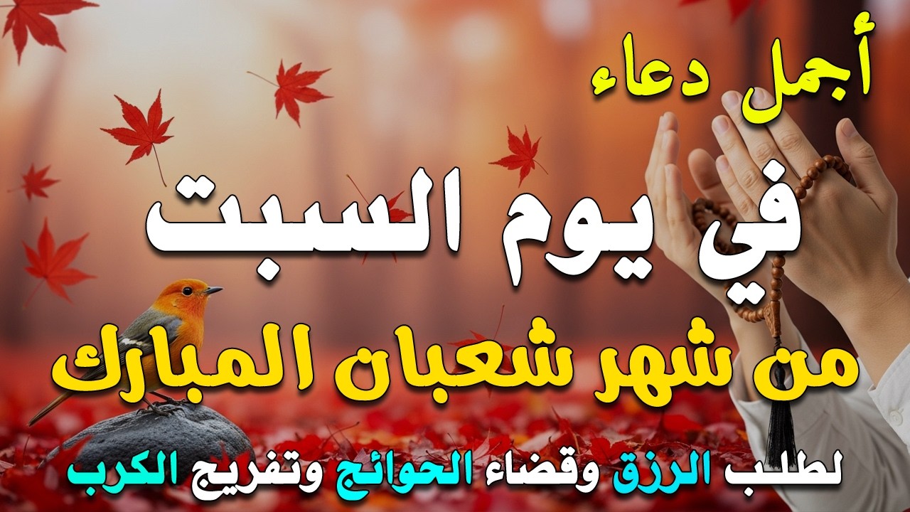 دعاء فى يوم الاثنين المستجاب دعاء في يوم 21 من شهر شعبان للرزق والشفاء العاجل وقضاء الحوائج 🤲(4k)
