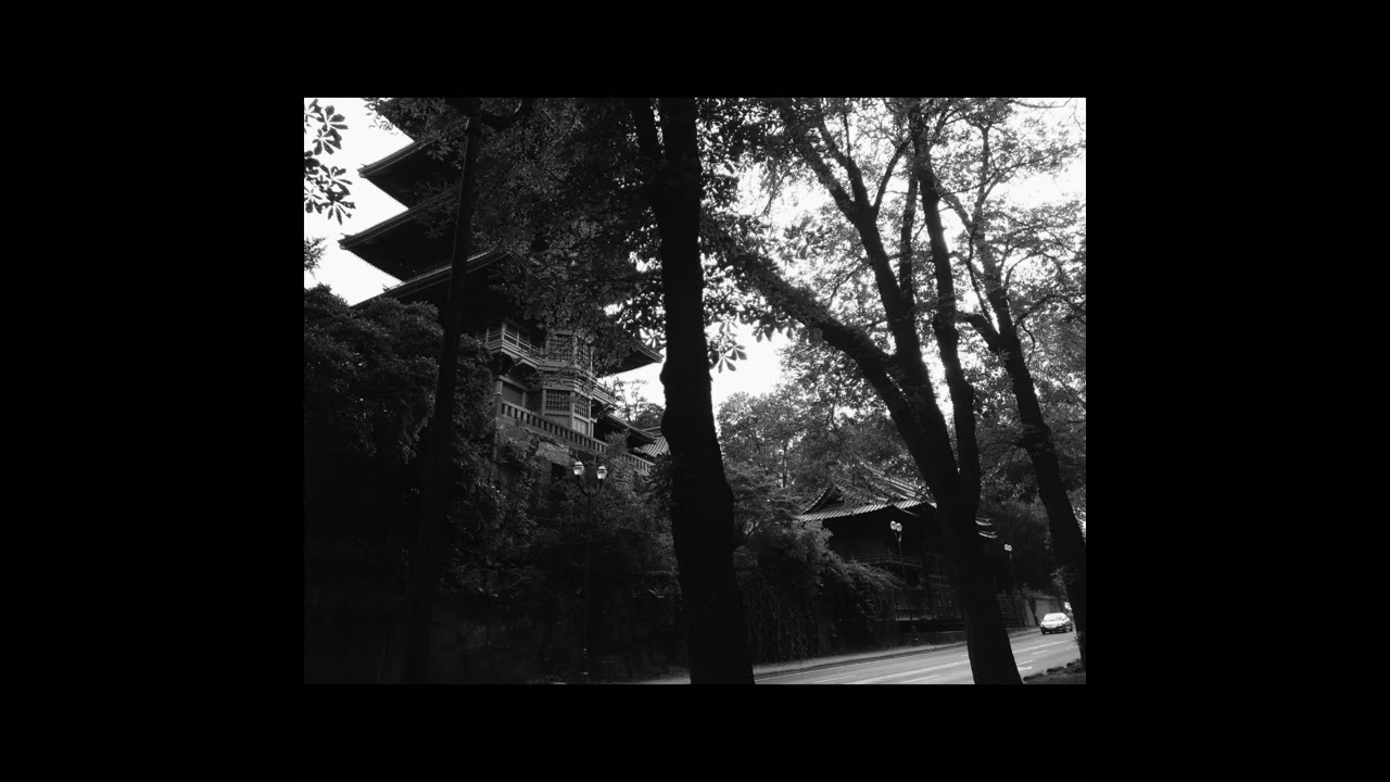 Wspomnienie // DSBM Instrumental