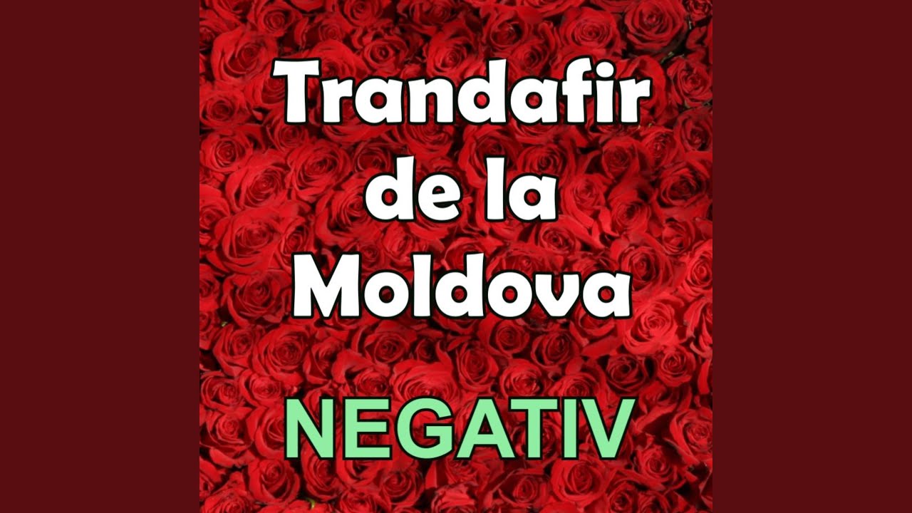 Trandafir de la Moldova (Negativ)