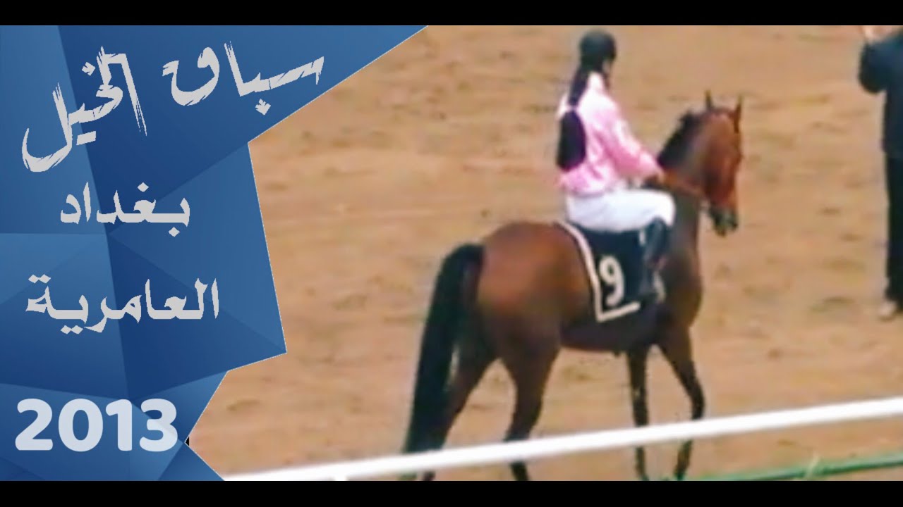 سباق الخيل - العامرية || الفارس وليد رستم || موسم 2012-2013
