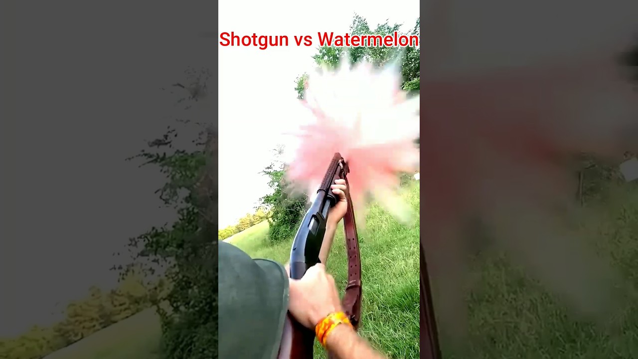 Shotgun vs Watermelon😱 #shotgun #acehgunfishing