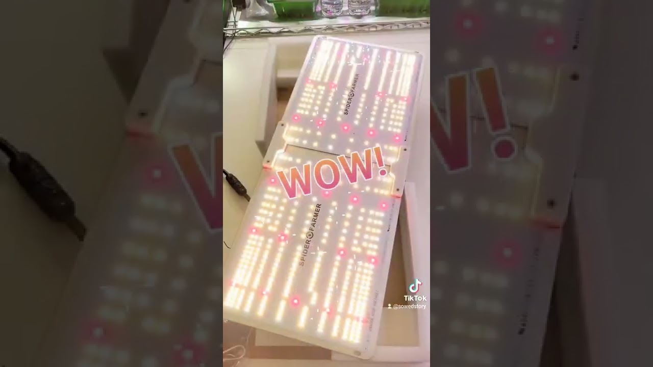 Spider Farmer SF-2000 Unboxing #growlight #fullspectrum #hydroponics
