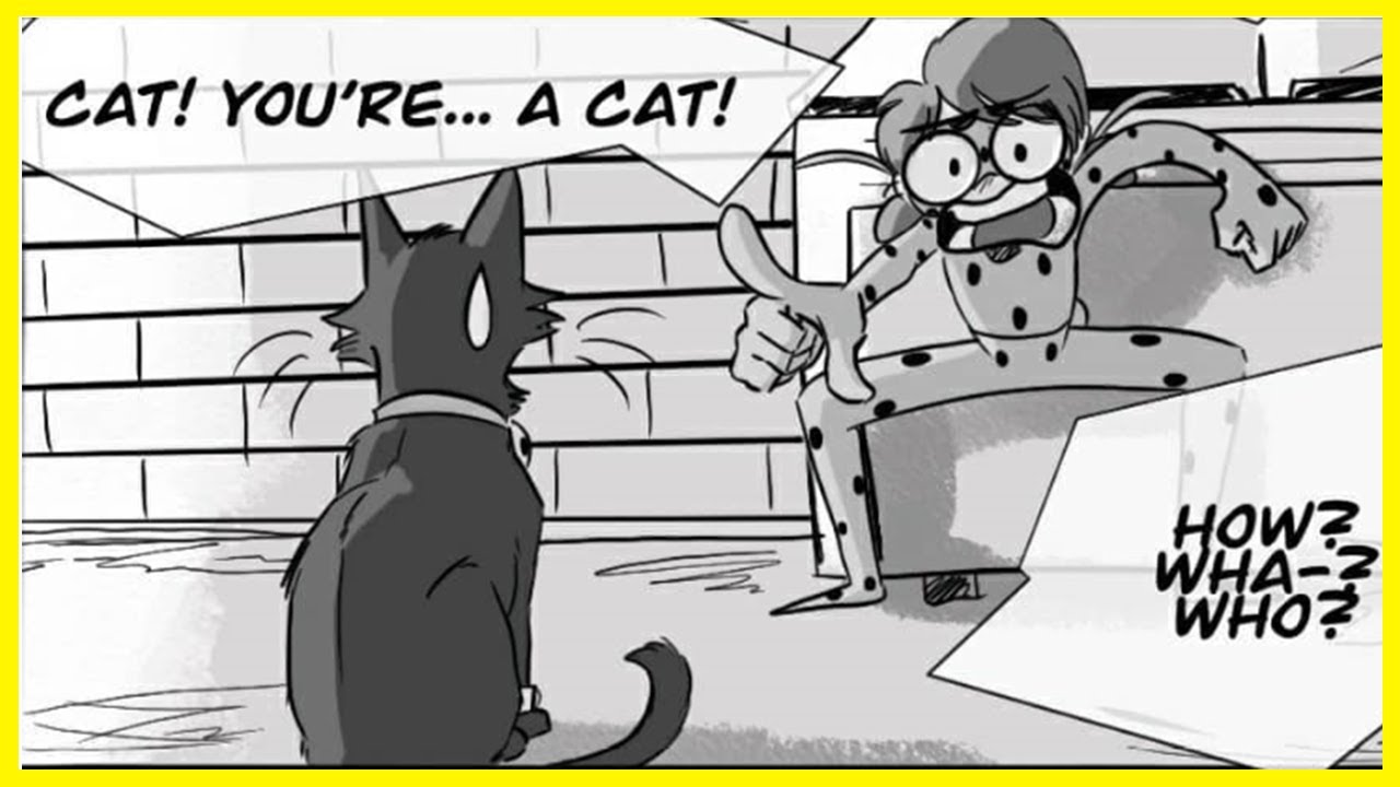 Catastrophe ! Miraculous Ladybug Comic Dub