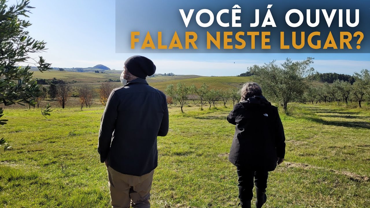 NÃO ACREDITO NISSO: TOMAMOS AZEITE!  |  #Motorhomes #voltaaomundo