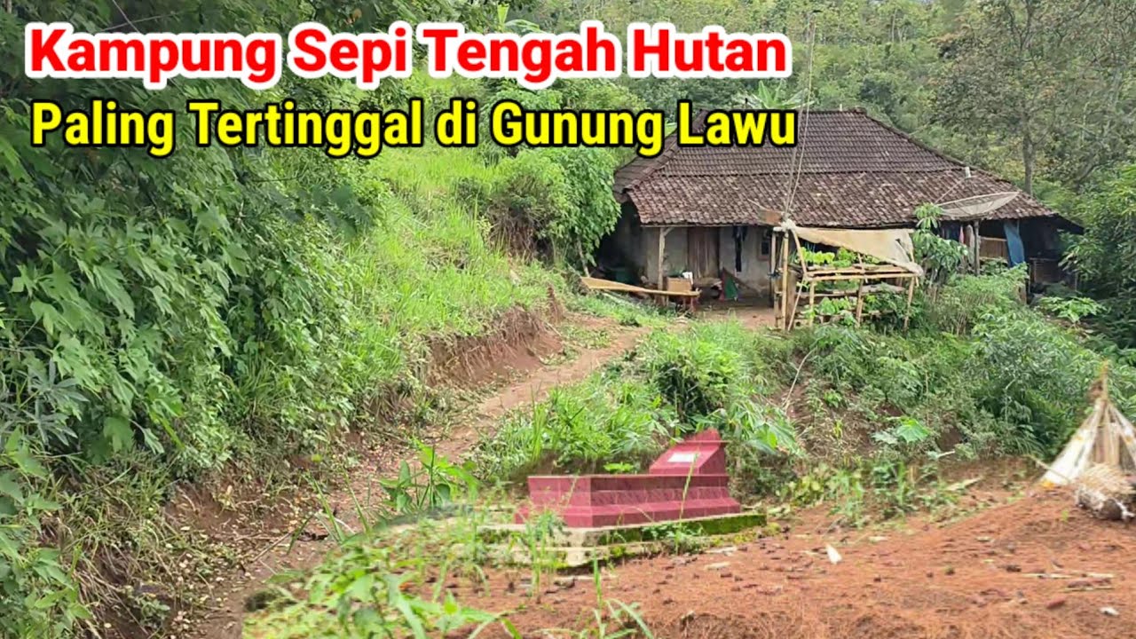 Kampung Siang Sepi Apalagi Malam di Tengah Hutan Wonogiri