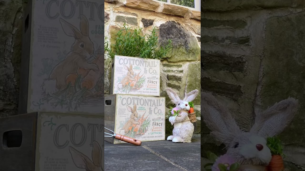🐰 Hoppin&rsquo; down the bunny trail&hellip;