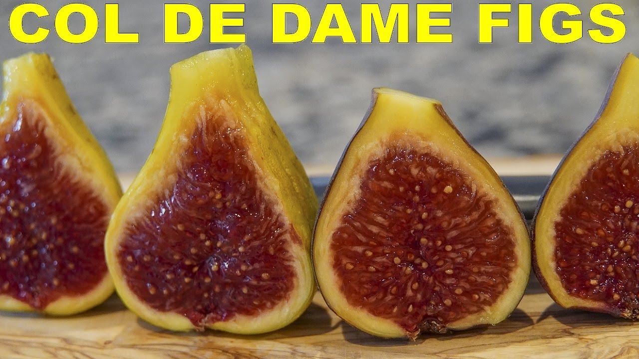 What Happens When Rimada Figs Revert? Col de Dame Rimada vs Blanc vs Noir