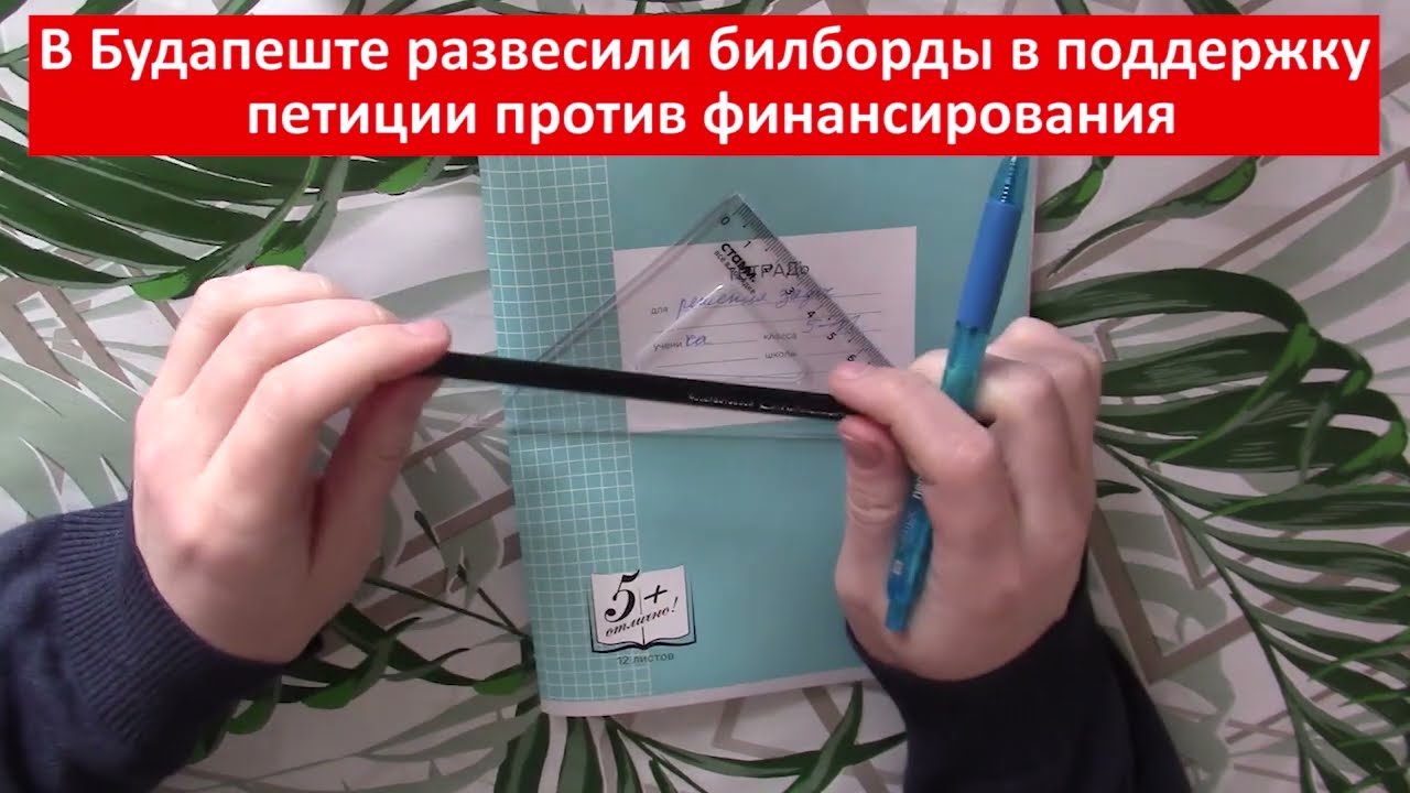 Она хочет! Мардан