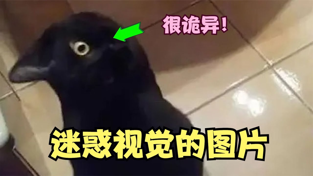 迷惑眼睛的诡异图片，看完让人怀疑眼睛！